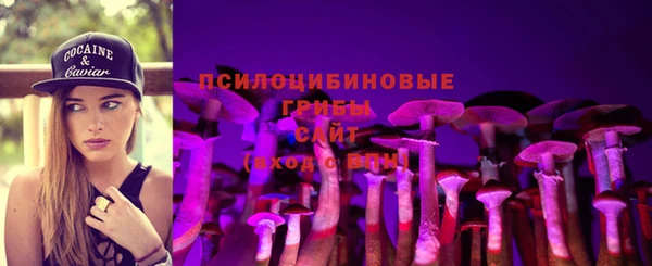 скорость Корсаков