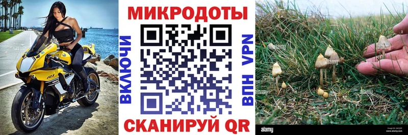 Псилоцибиновые грибы MAGIC MUSHROOMS  Купить где  Дигора 